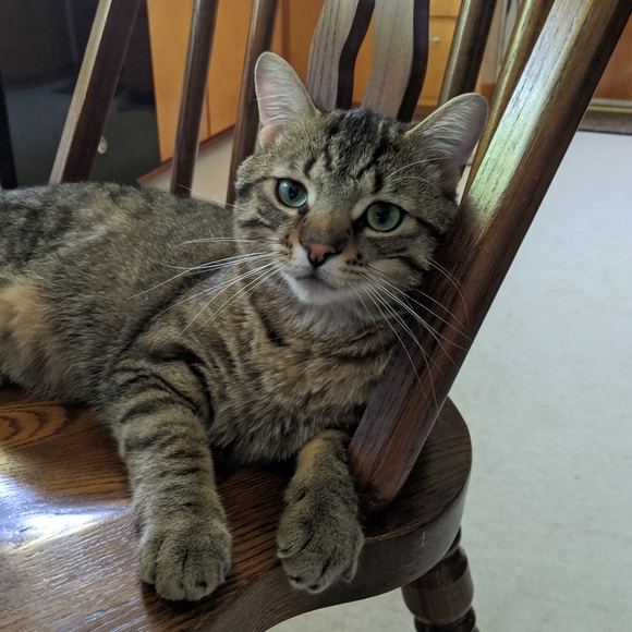 Meet your Posher, Lindsey - Picture 7 of 7